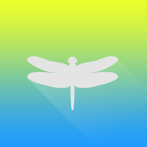 Identifly logo