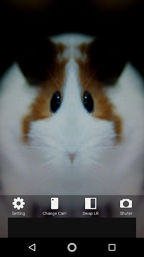 Android application Symmetrical Camera screenshort