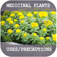 Medicinal Plants and their uses