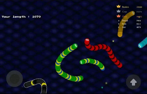 Snake Worm.io Slither Game