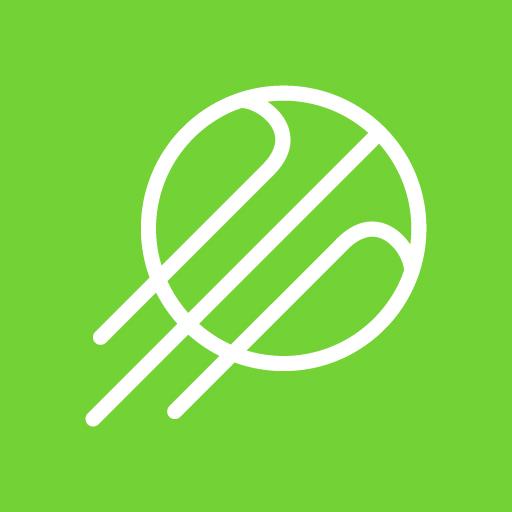 Duepalleggi logo