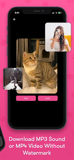 Panda Saver: Video Downloader Screen 3