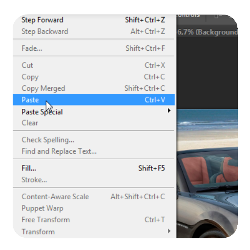 copy and Paste guide