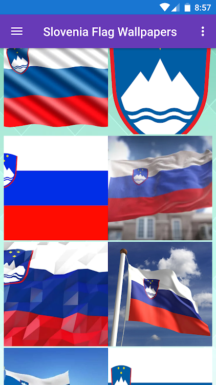 Slovenia Flag Wallpapers - 1.0.40 - (Android)