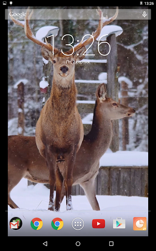 Winter Deer Video Live Wallpap