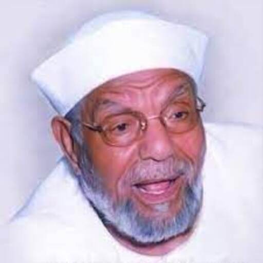ElSharawy Fiqh logo