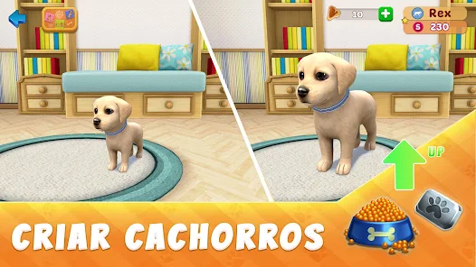 Juegos para jugar con los perros en casa - Dog On Camera