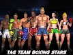 screenshot of Tag Boxing Games: Punch Fight