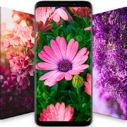 Top 29 Tools Apps Like Beautiful Flower Wallpapers - Best Alternatives