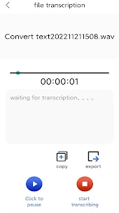 Transcribe Audio to Text