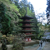 Japan:Muro-ji Temple(JP168) icon
