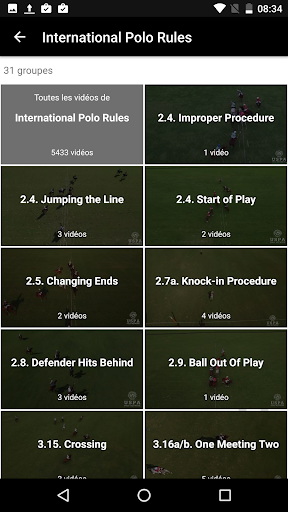 Polo Umpire screenshot 1