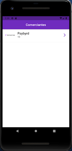 Paybyrd Manager Screen 2