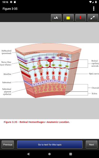 Atlas of Emergency Medicine 5E Screenshot