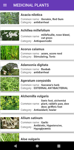 Medicinal plants: herbs screenshot 2