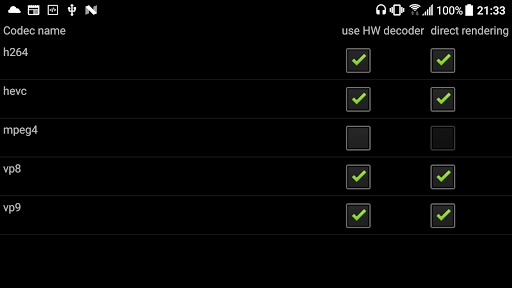Network Video Player Screen 2