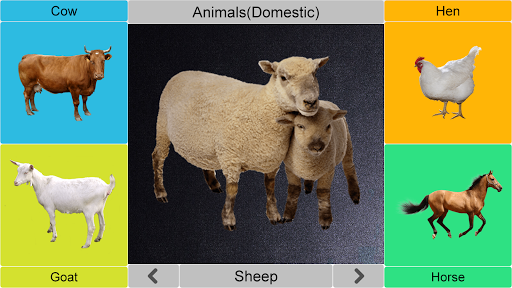 Anteprima dell'app