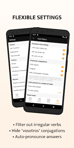 Screenshot of ConjuGato — Spanish Verbs