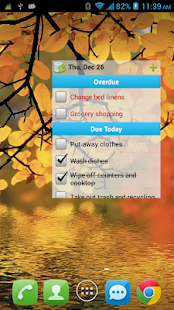 Chore Checklist Screenshot