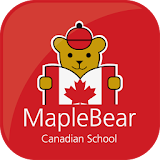 Maple Bear +Pertoo icon