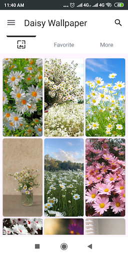 Daisy Flower Wallpaper Screenshot 3 - AppWisp.com