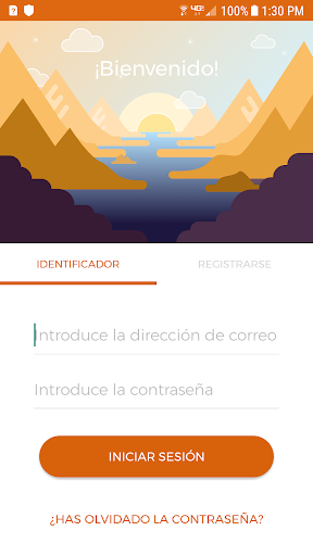 Vista previa de la aplicación