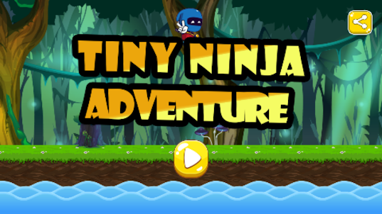 Tiny Ninja Adventure