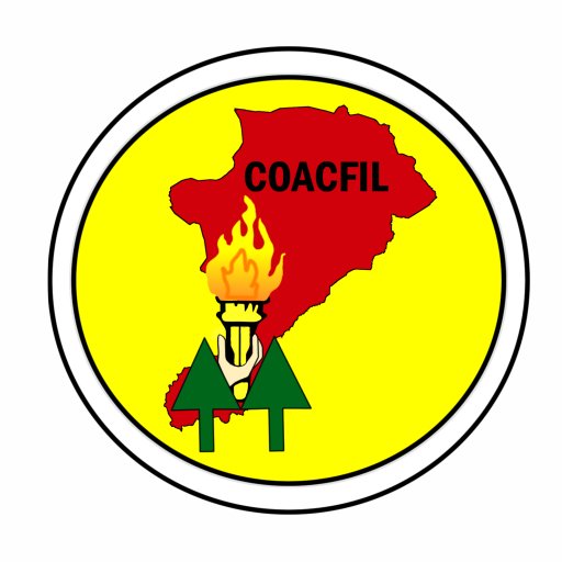 Fronteriza móvil logo