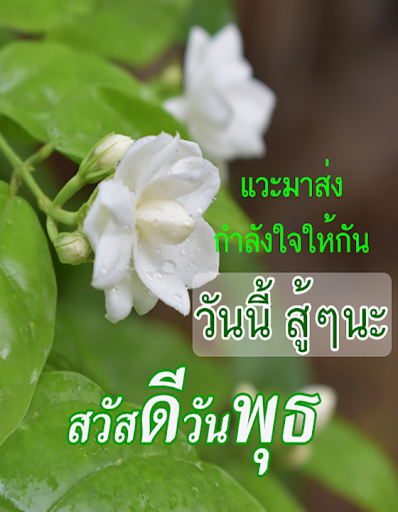 สวัสดีตอนเช้า ธรรมะสวัสดี ตามวัน