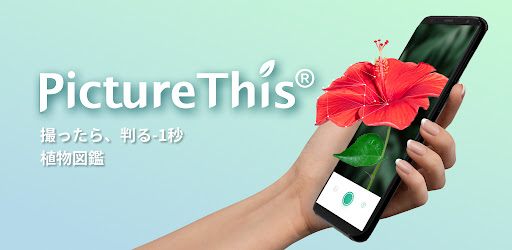 Picturethis 撮ったら 判る 1秒植物図鑑 Google Play のアプリ