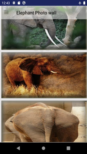 Android application Elephant photos screenshort