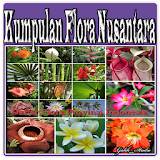 Kumpulan Flora Nusantara icon