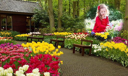 Garden Photo Frames HD Screen 2