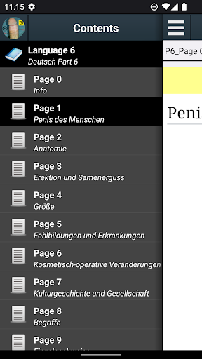 App-Vorschau