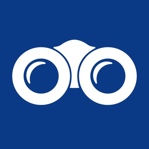 1st Look Media logo