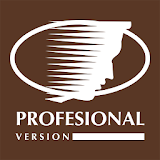 Version Profesional icon