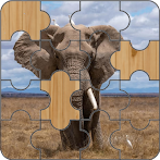 Elephant Jigsaw Puzzle