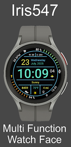 Iris547 Multi-Function Digital screenshot 3