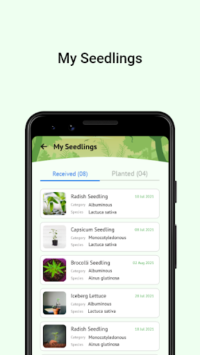 876 Trees Screen 2