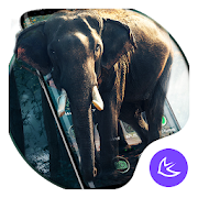Top 40 Personalization Apps Like Elephant APUS Launcher theme - Best Alternatives