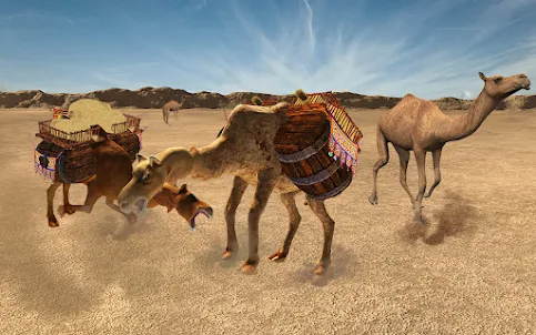 Camel Attack Fighting
