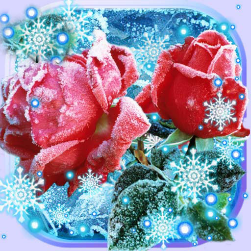Roses Snow Winter 1.23 Icon
