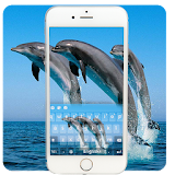 Dolphin Keyboard Theme icon