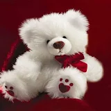 Teddy bears Wallpapers HD icon