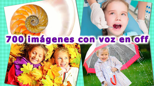 Vista previa de la aplicación