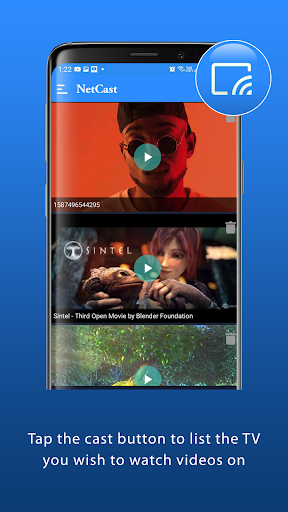 NetCast Player Screen 3