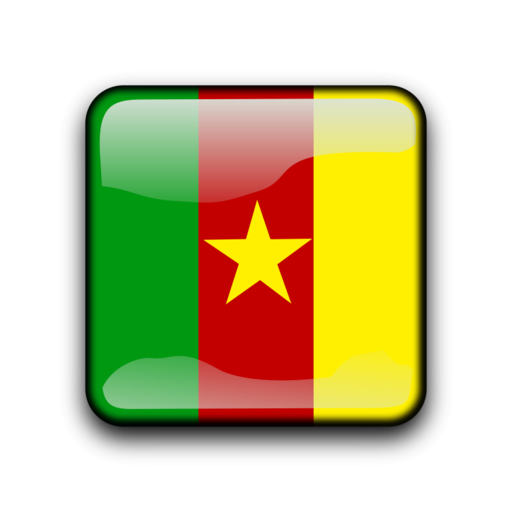 Cameroon breaking news logo