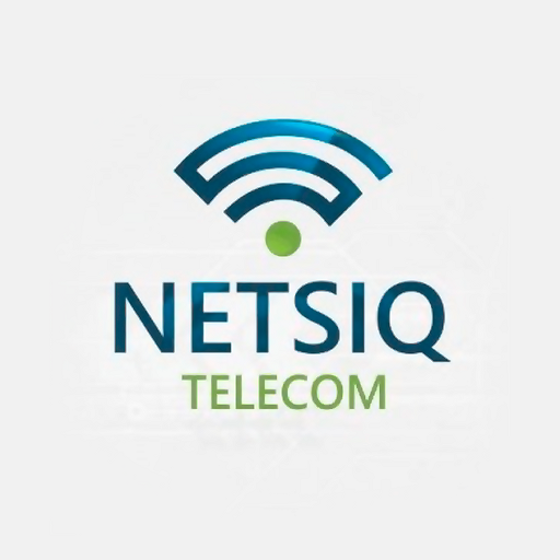 netsiq logo