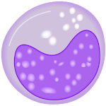 Cell Counter - White Blood Cell Differential - WBC Apk