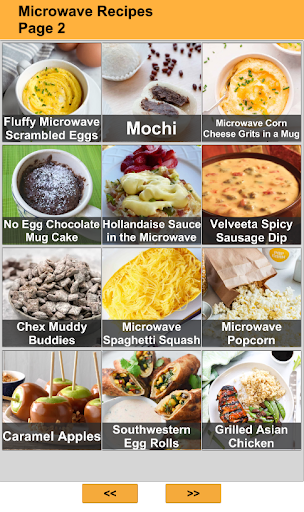Microwave Recipes Offline Screen 2